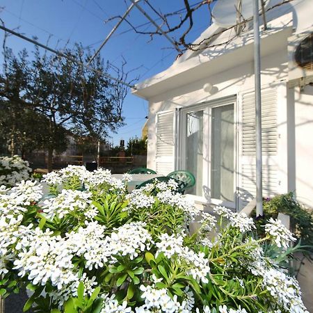 Apartman Antonio Zára Kültér fotó